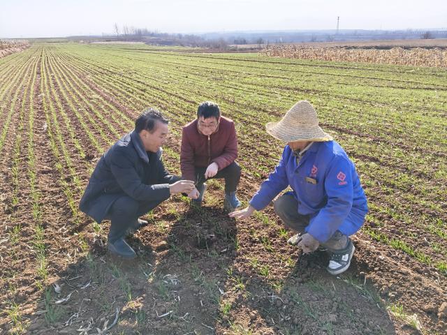 图片1.jpg 图片1.jpg