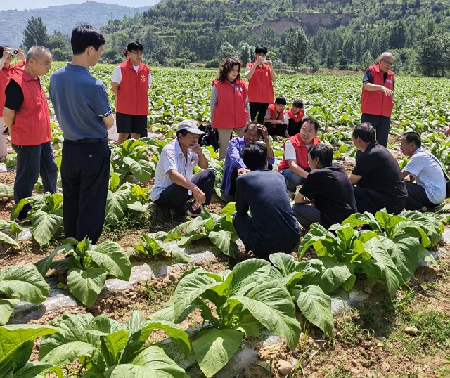 微信图片_20260608164307_214_130.jpg 微信图片_20260608164307_214_130.jpg